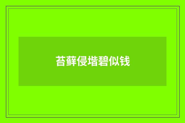苔藓侵堦碧似钱