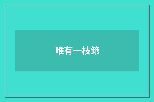 唯有一枝筇
