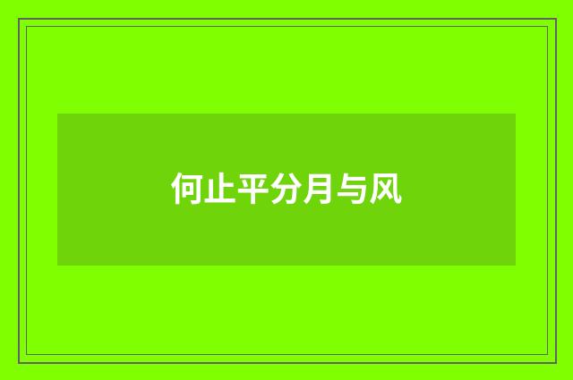 何止平分月与风