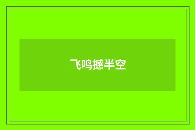飞鸣撼半空