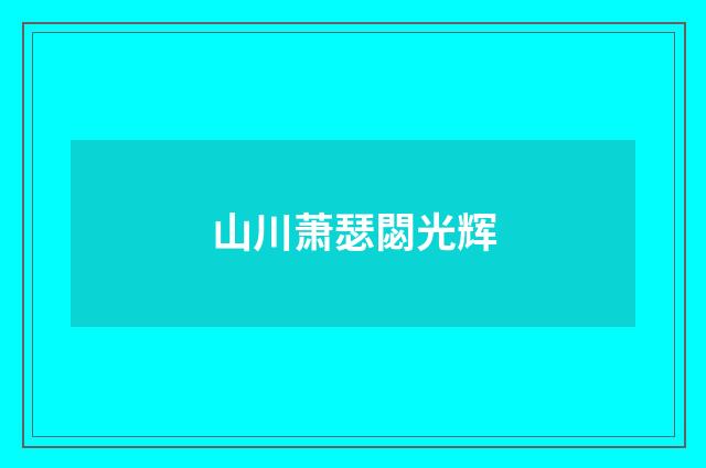 山川萧瑟閟光辉