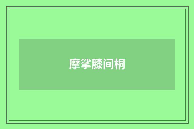 摩挲膝间桐