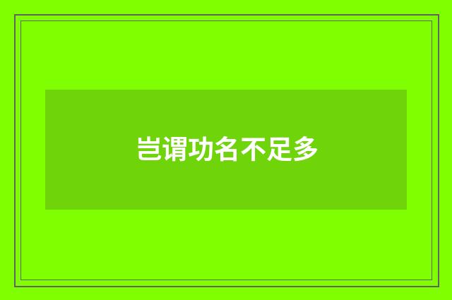 岂谓功名不足多