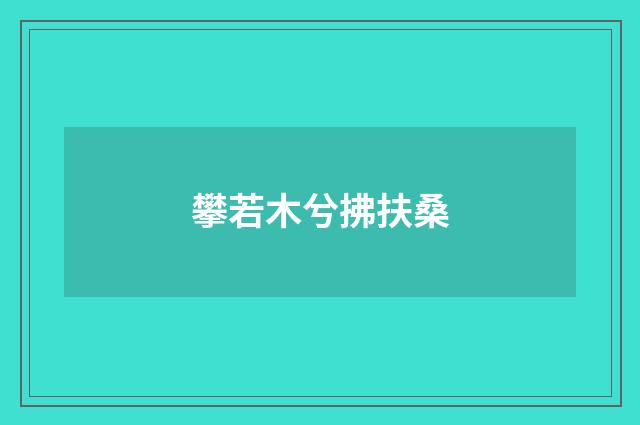 攀若木兮拂扶桑