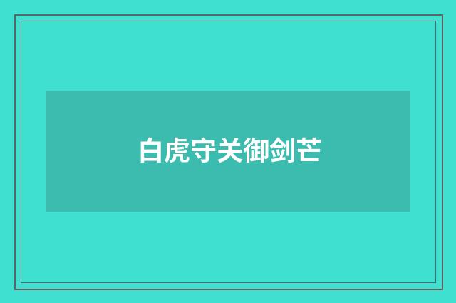 白虎守关御剑芒