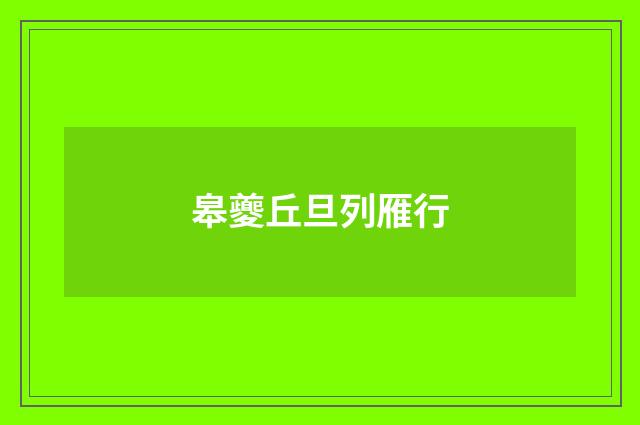 皋夔丘旦列雁行