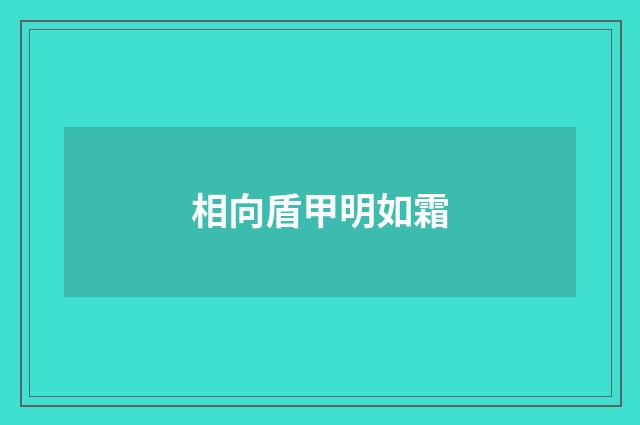 相向盾甲明如霜