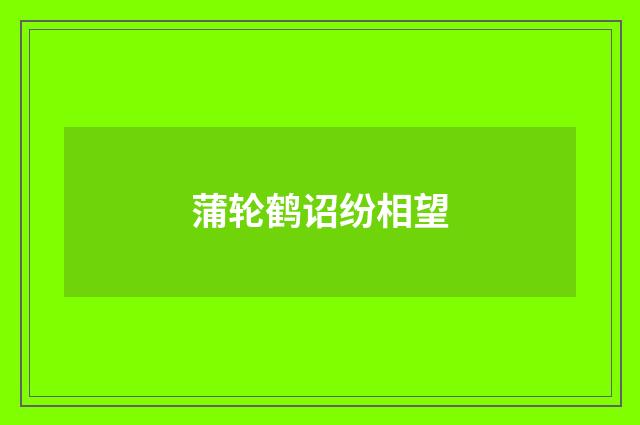 蒲轮鹤诏纷相望