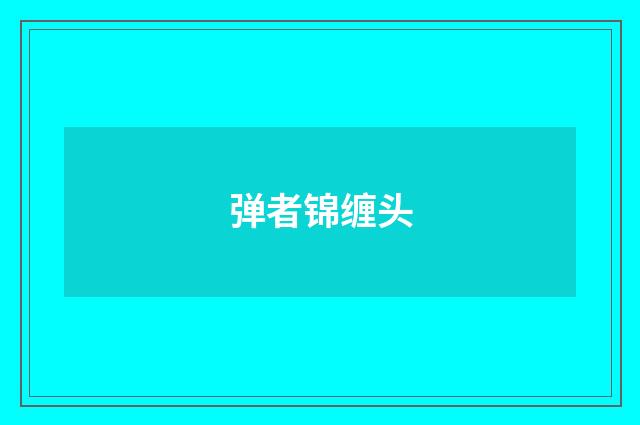 弹者锦缠头