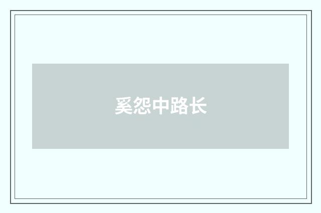 奚怨中路长