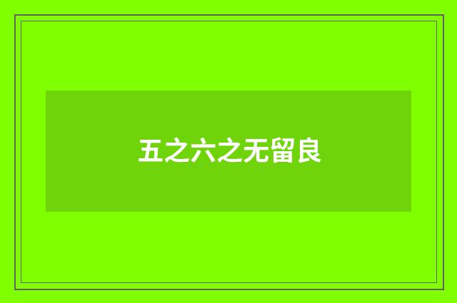 五之六之无留良