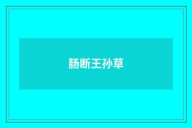 肠断王孙草