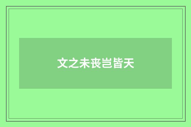 文之未丧岂皆天