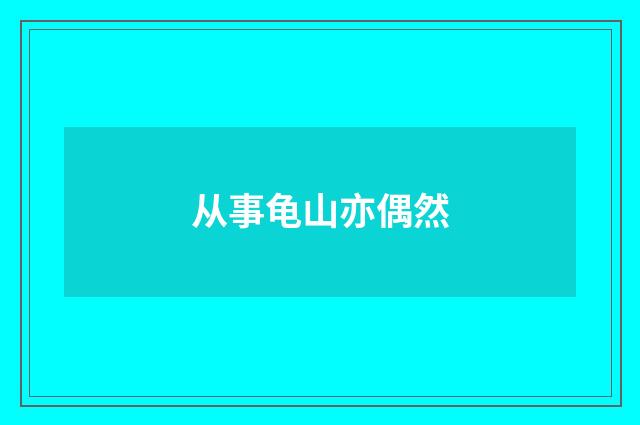 从事龟山亦偶然