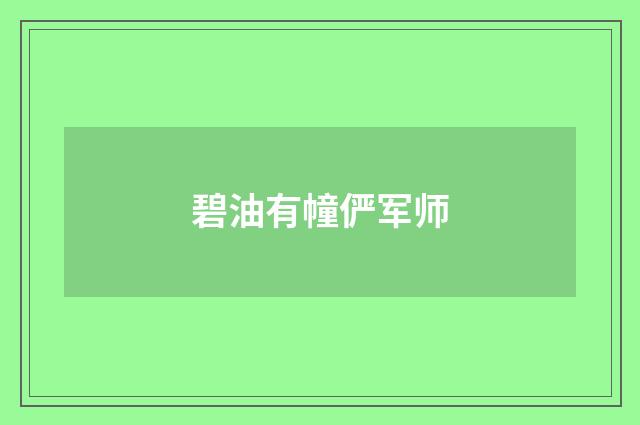 碧油有幢俨军师