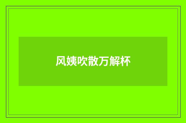 风姨吹散万解杯