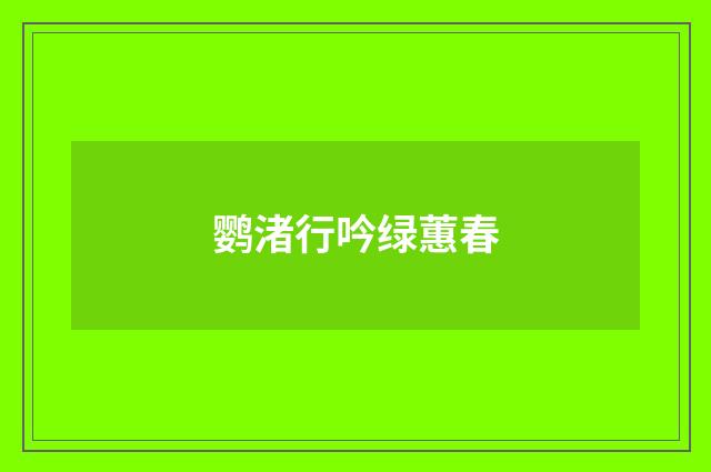 鹦渚行吟绿蕙春