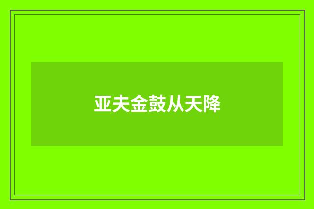 亚夫金鼓从天降