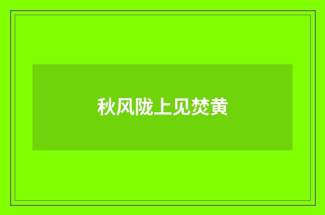 秋风陇上见焚黄