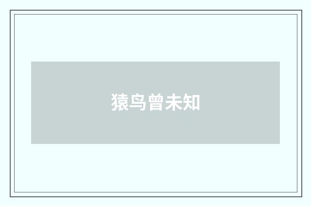 猿鸟曾未知