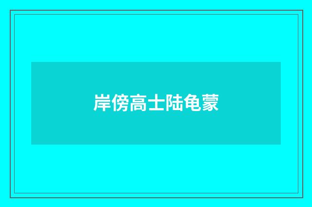岸傍高士陆龟蒙