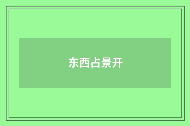 东西占景开