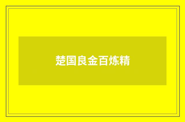 楚国良金百炼精