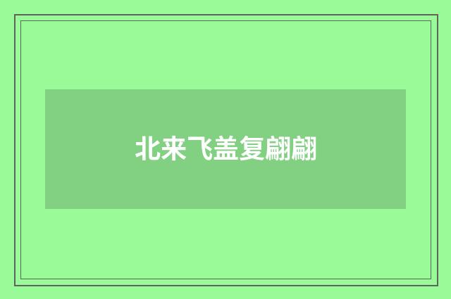 北来飞盖复翩翩
