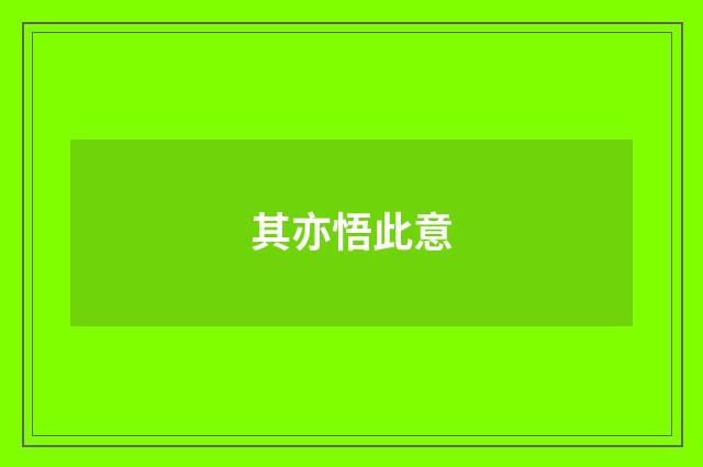 其亦悟此意