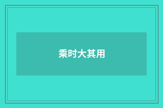 乘时大其用