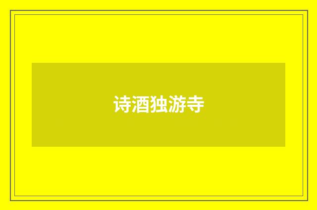 诗酒独游寺