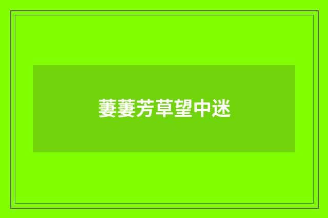 萋萋芳草望中迷