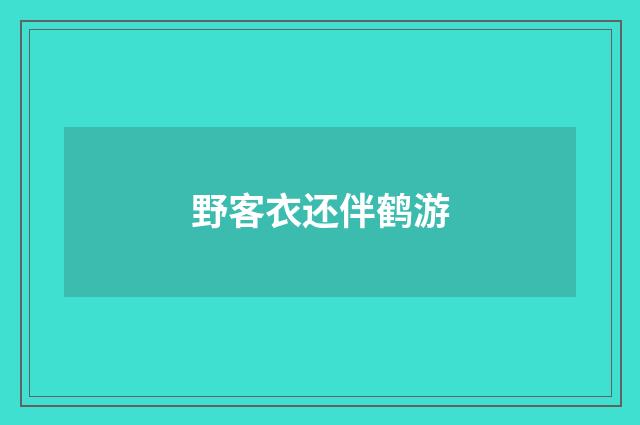 野客衣还伴鹤游