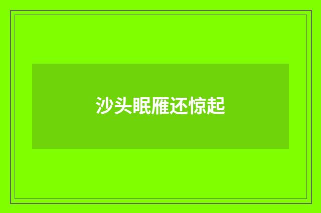 沙头眠雁还惊起