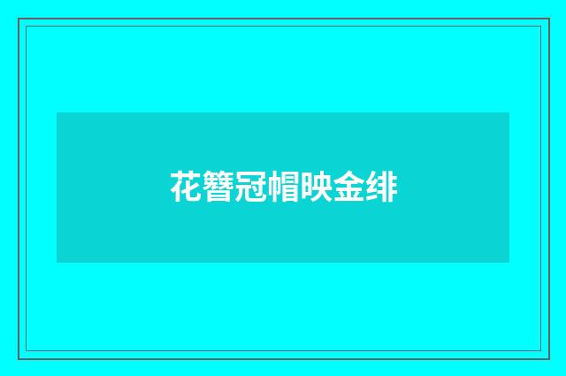 花簪冠帽映金绯