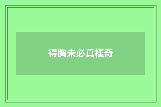 得胸未必真槿奇