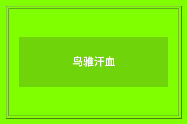 鸟骓汗血