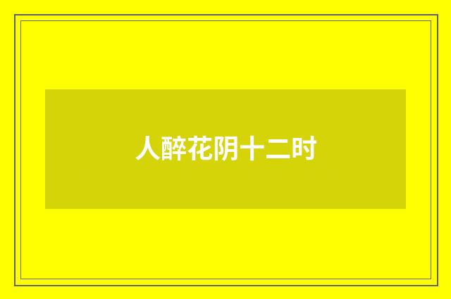 人醉花阴十二时