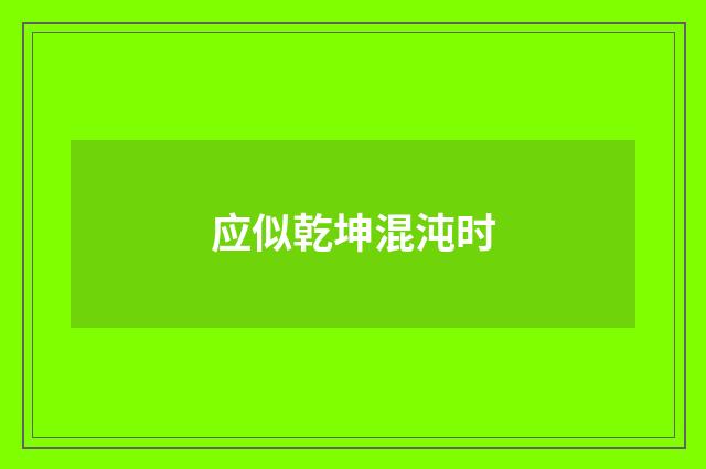 应似乾坤混沌时