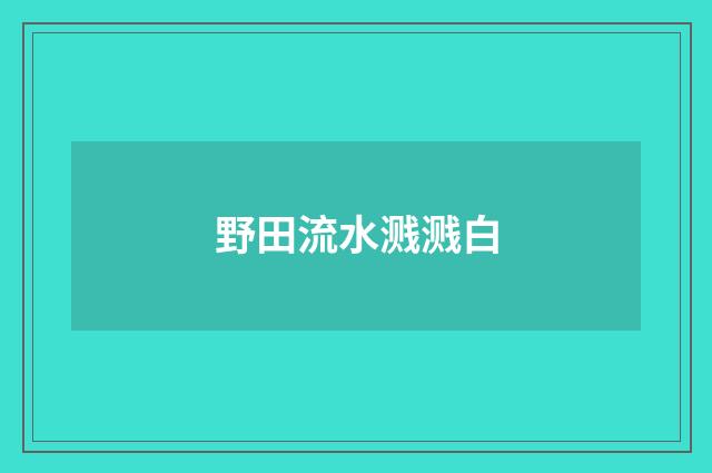 野田流水溅溅白