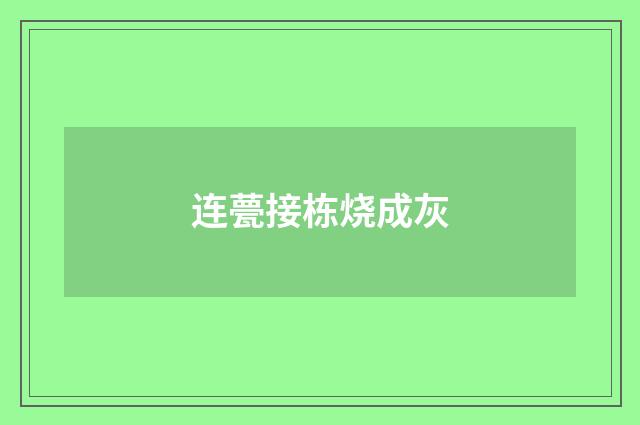 连甍接栋烧成灰