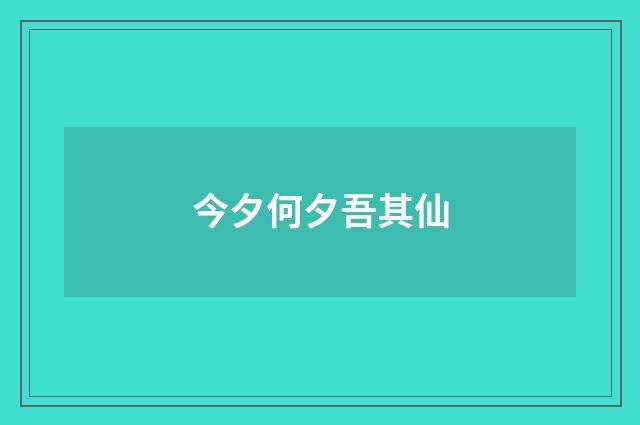 今夕何夕吾其仙