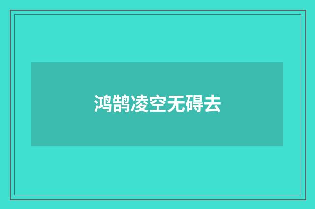 鸿鹄凌空无碍去