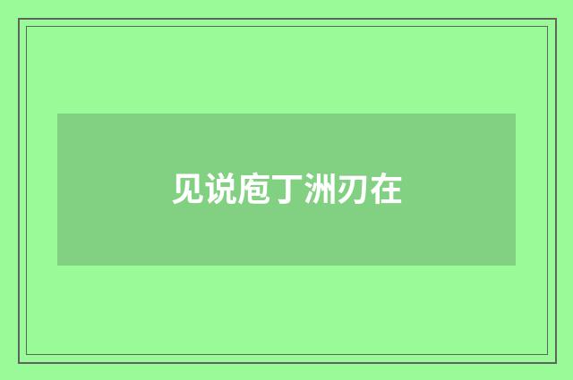 见说庖丁洲刃在