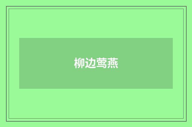 柳边莺燕