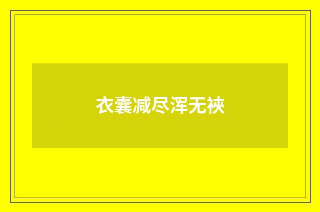 衣囊减尽浑无裌