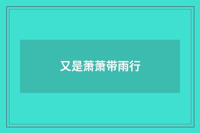又是萧萧带雨行