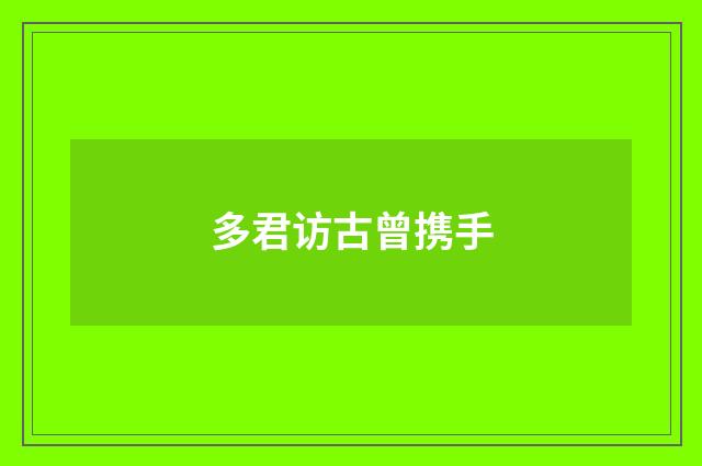 多君访古曾携手