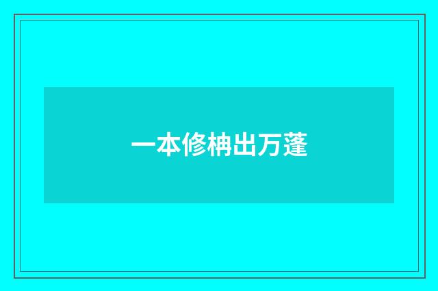 一本修柟出万蓬