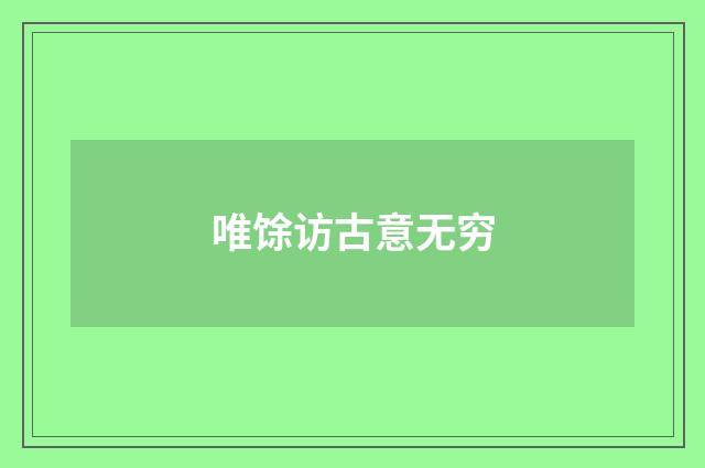 唯馀访古意无穷